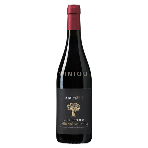 Veneto Amarone della Valpolicella Antica Viti 2022