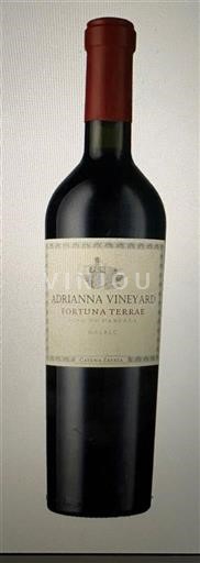 Mendoza Adrianna Vineyard Fortuna Terrae 2010