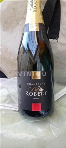 Champagne Champagne Guy Robert Ikke-årgang