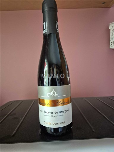 Loiredalen Saint-Nicolas-De-Bourgueil Domaine La Cotelleraie Domaine Ikke-årgang