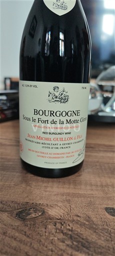Burgundija Jean-Michel Guillon & Fils Sous le Fort de la Motte 2024