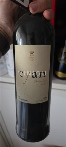 Kastilja i Leon Торо Cyan Prestigio 2005