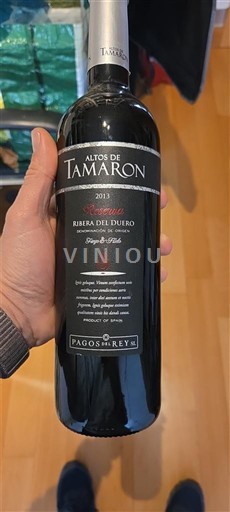 Kastilja dhe Leoni Ribera del Duero Altos de Tamaron 2013