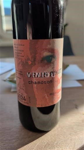 Valais Fully Domaine Marie-Thérèse Chappaz Grain Pinot 2024