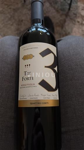 Puglia Ikke spesifisert Quattro Conti Tre Forte 2020