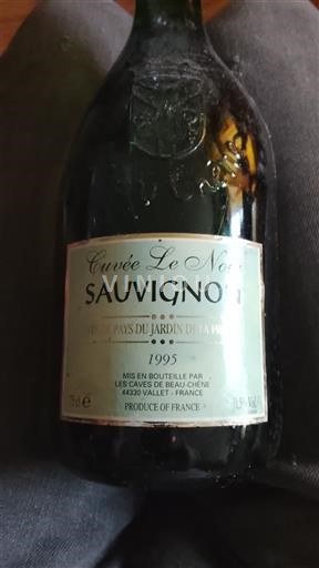 Dolina Loare Nespecificirano Les Caves de Beau-Chene Cuvee Le Noir 1995
