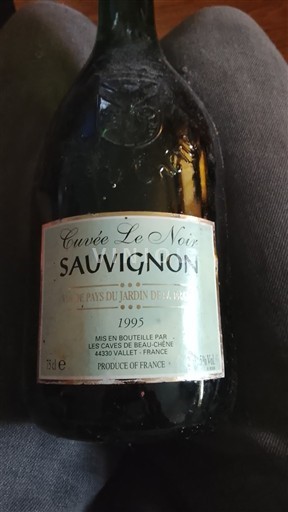 Lugina e Luarës Les Caves de Beauloné Le Noir 1995