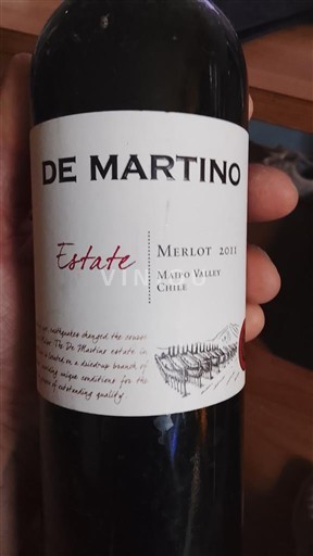 Lugina e Maipos Maipo Alto De Martino Estate 2011