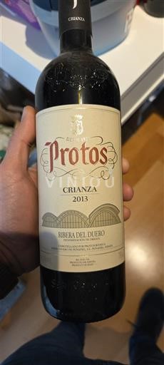Kastilja dhe Leoni Ribera del Duero Protos Crianza 2013