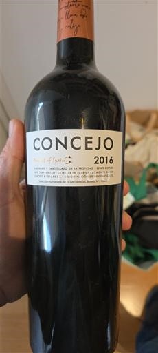 Kastilja i Leon Цикаде Concejo 2016