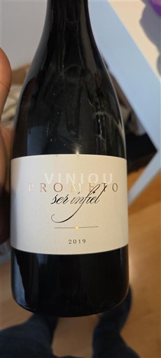 Castilien og León Ribera del Duero Prometo Ser Infiel 2019