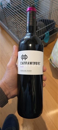 Kastilja dhe Leoni Ribera del Duero Carramimbre Roble 2024
