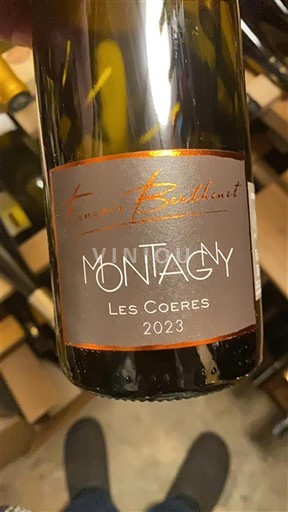 Burgundija Монтани Emmanuel Boudnot Les Coeres 2023