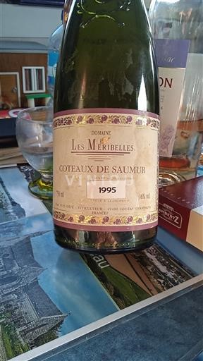 Lugina e Luarës Kodrat e Saumurit Domaine Les Méribelles 1995
