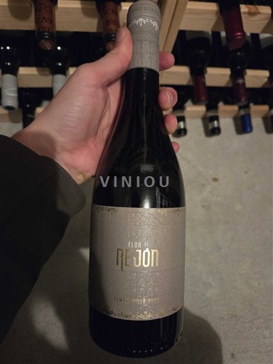 Vini Rouge sec Flor de Rejón 2019 Spagna Castiglia e León Ribera del Duero DO
