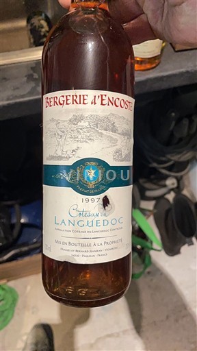 Wines Rosé sec Bergerie d'Encoste 1997 France Languedoc Languedoc Hills AOC