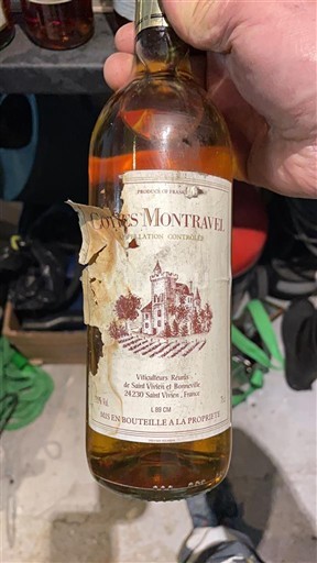 Sørvest Côtes-de-montravel Vignerons Réunis de Saint Vivien de Montravel Ikke-årgang