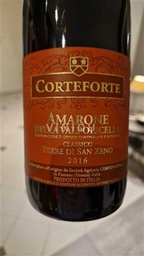 Veneto Amarone della Valpolicella Corteforte Terre di San Zeno 2016