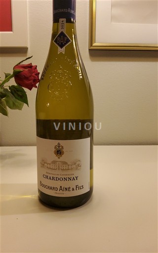 Burgund Bourgogne Chardonnay Bouchard Aîné & Fils 2024