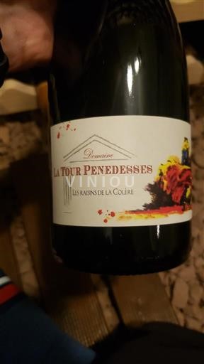 Languedok Terrasses-du-larzac Domaine La Tour Penedesses Les Raisins de la Colère 2021
