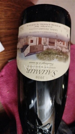 Dolina Loare Сомур Domaine Brilland 2010