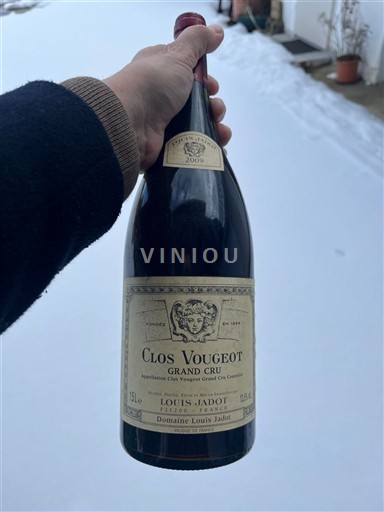 Burgundija Clos-de-vougeot Grand Cru Domaine Louis Jadot 2009