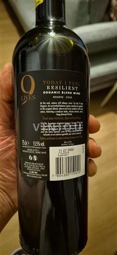 Lugina e Maipos Maipo Central 9 Lives Today I Feel Resilient Jo Viti