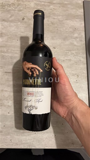 Vini Rouge sec Marionette Bodegas 2022 Spagna Murcia Jumilla DO