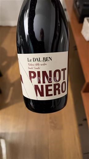 Vin Rouge sec Le Dal Ben 2022 Italia Veneto DOC