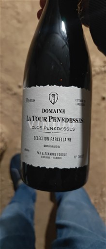 Лангедок Фоже Domaine La Tour Penedesses Clos Penedesses Sélection Parcellaire 2022