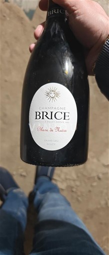 Champagne Brice Blanc de Noirs 2022