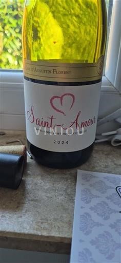 Vinuri Rouge sec Domaine Augustin Florent 2024 Franța Beaujolais Saint-Amour AOC