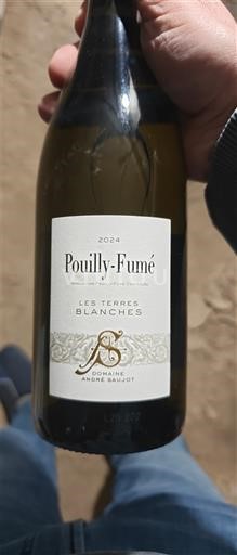 Dolina Loare Пуји-фиме Domaine André Daujat Les Terres Blanches 2024