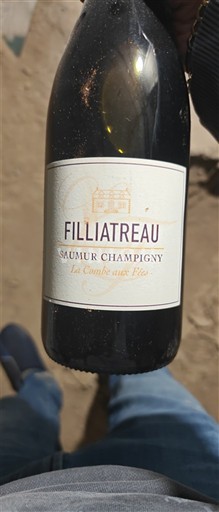 Lugina e Luarës Saumur-champigny Filliatreau Les Caves aux Fiés 2018