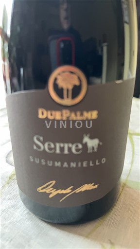 Vin Rouge sec Serre Due Palme 2022 Italia Puglia Salento IGT