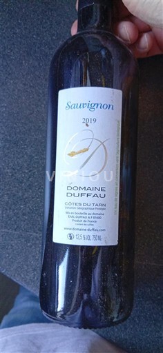 Vin Blanc sec Sauvignon Domaine Duffau 2019 Francuska Југозапад Тарн Колине IGP