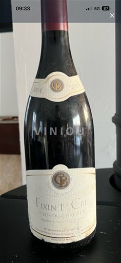 Burgundija Fiksin Premier Cru Domaine Guy et Yvan Dufouleur Clos du Chapitre 2004