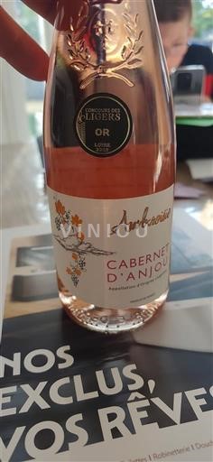 Dolina Loare Каберне-анжу Ambiance 2024