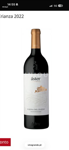 Kastilja dhe Leoni Ribera del Duero Áster Crianza 2022