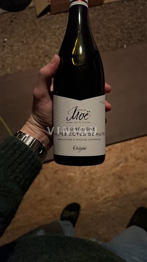 Vin Rouge sec Moë 2023 Francë Burgundi Hautes Côtes de Nuits AOC