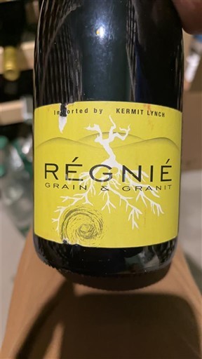 Vin Rouge sec Grain et Granit Jean-Paul et Charly Thévenet 2017 Francuska Божоље Регние AOC