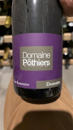 Dolina Loare Кот-Роанез Domaine Pothiers Domaine 2021