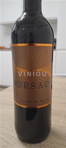 Aragon Campo de Borja Borsao 2024