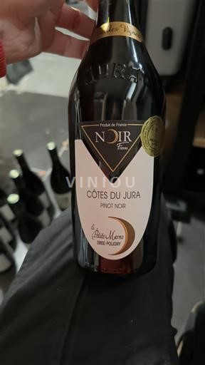 Jura Côtes-du-jura Domaine La Petite Marne Pinot noir 2020