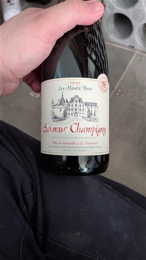 Wines Rouge sec Les Hauts Ouis 2022 France Loire Valley Saumur-Champigny AOC