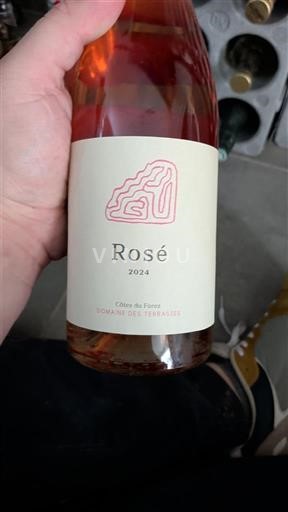 Rhônedalen Côtes-du-rhône Domaine Terrasses Rosé 2024
