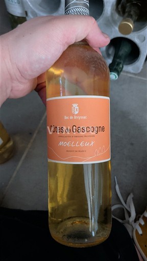 Tây Nam Côtes de Gascogne Duc de Breysse Không niên vụ