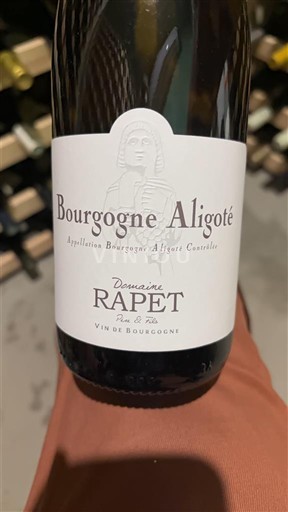 Viner Blanc sec Domaine Rapet 2023 Frankrike Burgund Bourgogne-aligoté AOC