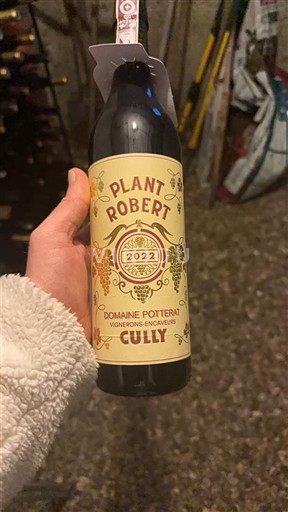 Вод Лаво Domaine Potterat Plant Robert 2022