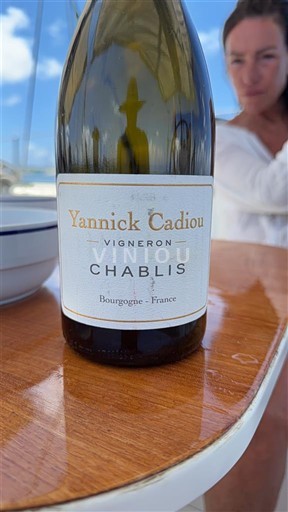 Vina Blanc sec Yannick Cadiou 2021 Francija Burgundija Chablis AOC